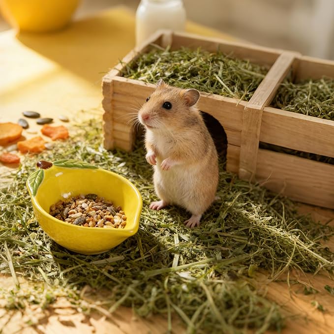 Small Guinea Pig Food Bowl Cute Ceramic Hamster Water Bowl Ferret Rat Chinchilla Rabbit Feeding Dish Young Animal Feeder (Lemon Yellow)