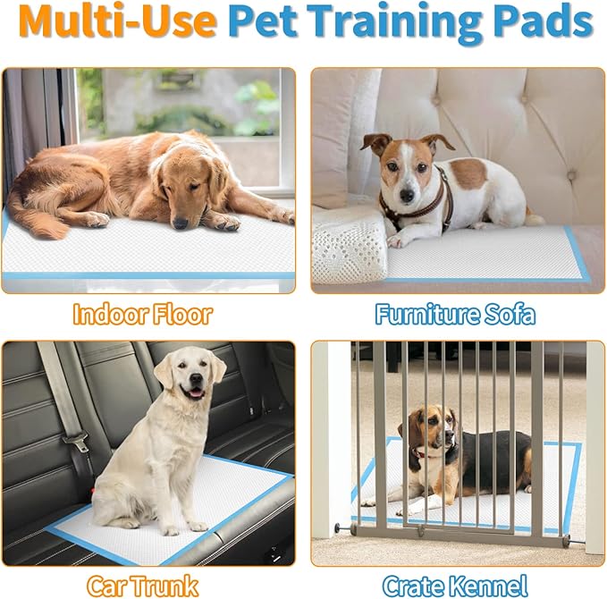Dog and Puppy Training Pads， Disposable Dog Pee Pads (40, 23.5"*23.5"(60*60cm))