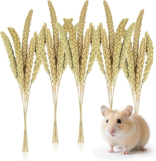 Sukh Hamster Millet Sprays - 30Pcs Natural Millets 12.6In Hamster Bedding Decor Cages and Habitats Accessories Spray for Dwarf Syrian Hamsters Chinchilla Squirrel and Birds