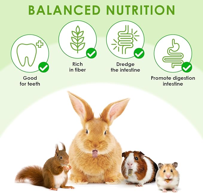 ERKOON 76Pcs Rabbit Chew Toys Timothy Hay Sticks, Guinea Pig Toys for Teeth Natural Molar Sticks Rabbits Treats for Bunnies, Chinchilla, Guinea Pigs, Gerbil, Hamster