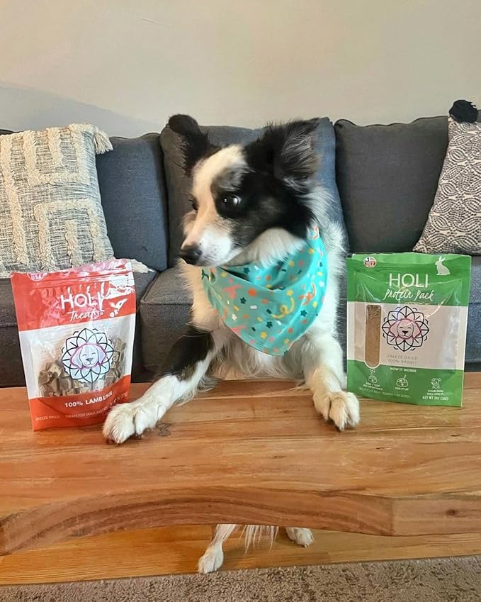 HOLI Rabbit Dog Food Topper – Freeze Dried Rabbit Dog Topper for Dry Food – Single Ingredient, Human-Grade Meal Topper for Picky Dogs – Grain Free & All Natural - 8oz