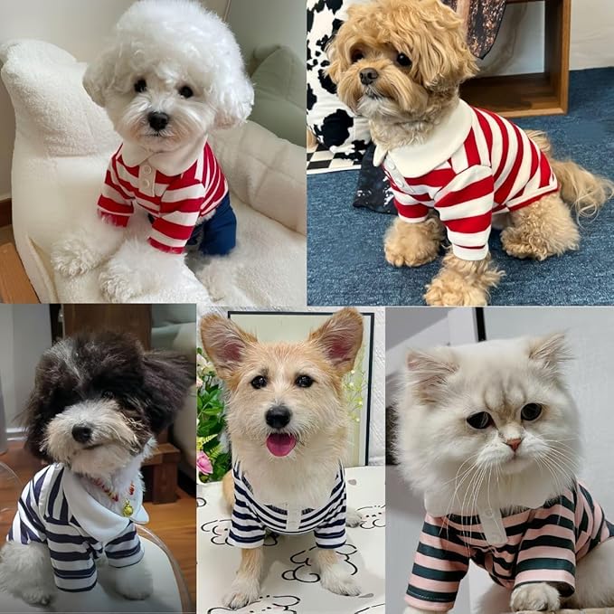 MANON ROSA Dog Clothes Boy Dog Polo Shirt for Small Medium Dogs - Summer Male Puppy T Shirts for Yorkie Poodle Shih Tzu Dachshund Kittens, Striped Doggie Designer Outfits Blue XXL Fit 16.5-22 lbs