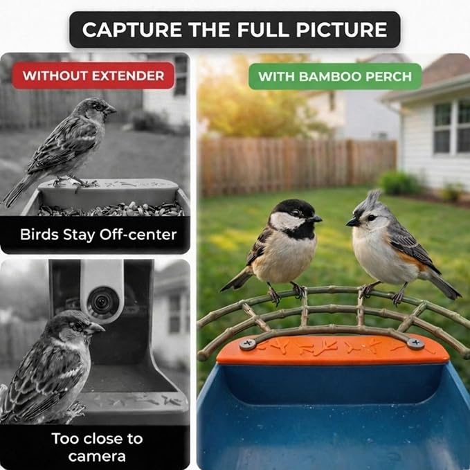 CPLIKE Bamboo Style Perch Extender for Bird Buddy Smart Feeder, Durable ABS Platform with Dual Screw Mount, DIY Expansion Holes, Extra Landing Space for Wildlife Watching & Full Body Photos