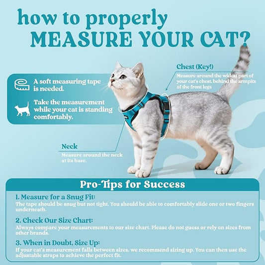 rabbitgoo Cat Harness and Leash for Walking, Escape Proof Soft Adjustable Vest Harnesses for Cats, Easy Control Breathable Reflective Strips Jacket, Teal, XS