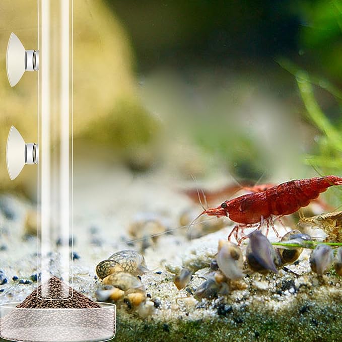 3 Pcs Shrimp Feeding Tube and Dish Set Clear Crystal Glass Shrimp Feeder Tube Tray Aquarium Feeder Tube Shrimp Feeding Dish Bowl Suction Cups for Fish Tank Aquarium Feeding Supplies Tools