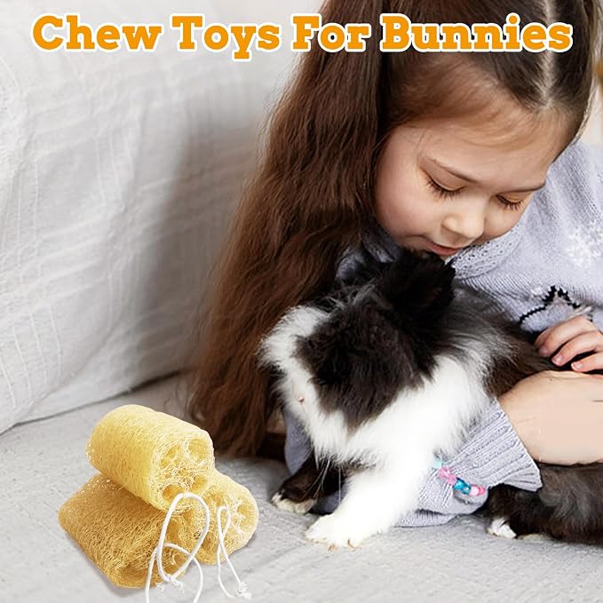 4 Pcs Rabbit Chew Toys Natural Bunny Loofah Chew Toy Chinchilla Teeth Grinding Toys Guinea Pig Fibre-Rich Treats Enrichment Bunny Accessories for Rabbits Hamster (L)