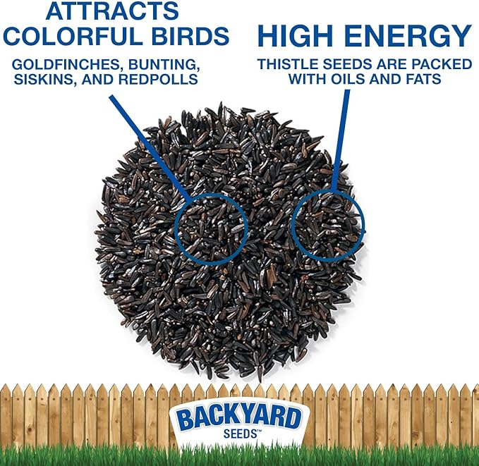 CountryMax Backyard Seeds Thistle Bird Seed for Finches 50 Pounds