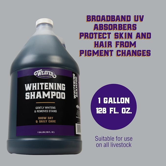 Weaver Livestock Whitening Shampoo for Horses, Pigs, Cattle, Gentle, and Effective Coconut-Based Hide, Hair, and Shampoo, Daily Use, Cattle Show Supplies