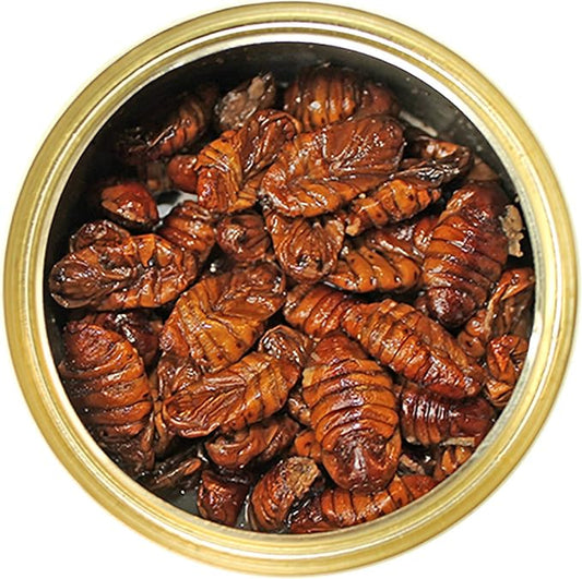 Canned Silkworms (1.2 oz.) - Healthy High Protein Insect Treat - Hedgehogs, Sugar Gliders, Reptiles, Wild Birds, Chickens, Lizards, Bearded Dragons, Skunks, Opossums, Fish, Amphibians, Turtles