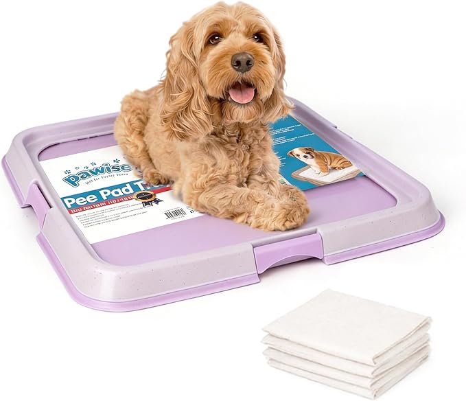 Pawise Dog Pee Pad Holder for Puppy, Puppy Pad Holder Tray, Pet Training Pee Pad, Indoor Potty Tray for Senior Dogs, Dog Toilet for Newborn Puppies, 23.5" x 23.5"，Purple