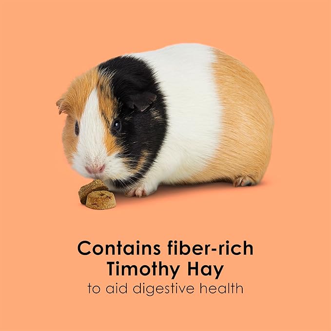 Kaytee Super C Bites Treat for Pet Guinea Pigs, Adult Rabbits, Chinchillas, and Other Small Animals, Cranberry and Orange, 4 oz (6 Pack)