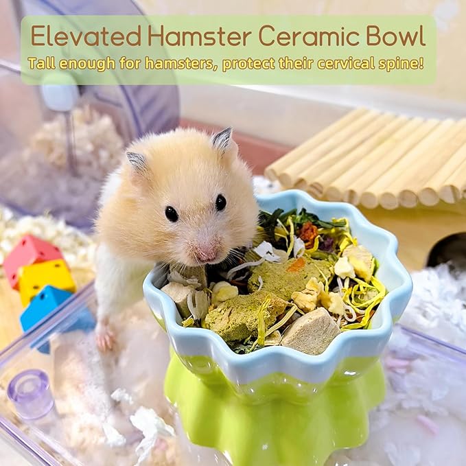 Ceramic Hamster Food Bowl Elevated Hamster Bowl Non-Tip Rat Feeding Dish with Water Bottle for Dwarf Gerbil Mouse Mice Sugar Glider (Green)