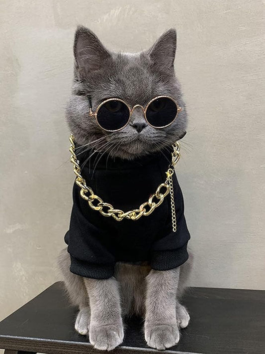 QWINEE 3Pcs Dog Hoodie Cat Apparel Dog Custume Set with Necklace and Sunglasses Pet Clothes for Puppy Small Medium Dogs Cats Multicolor XXL