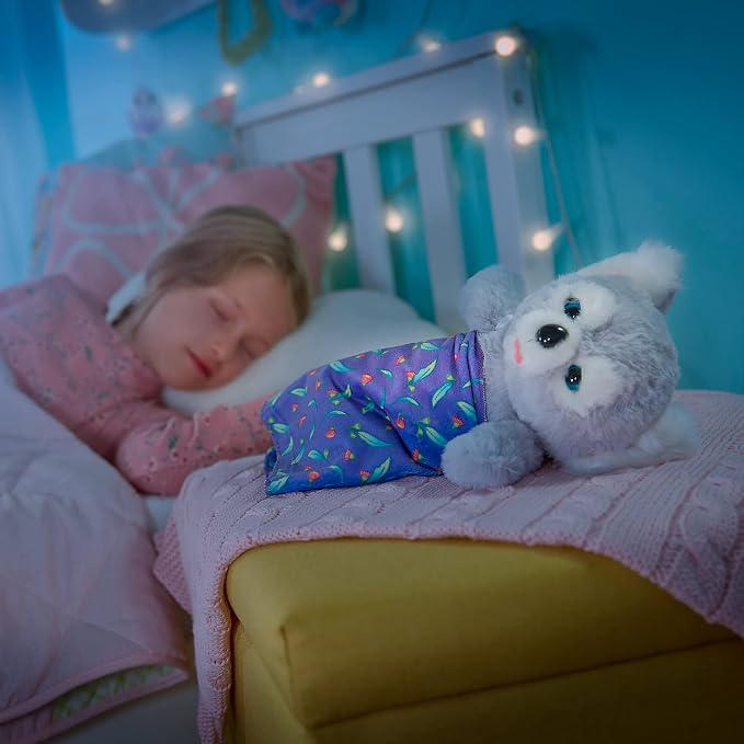 Little Live Pets Cozy Dozy Kip The Koala Bear - Over 25 Sounds and Reactions | Bedtime Buddies, Blanket and Pacifier Included | Stuffed Animal, Best Nap Time, Interactive Bear - Styles May Vary