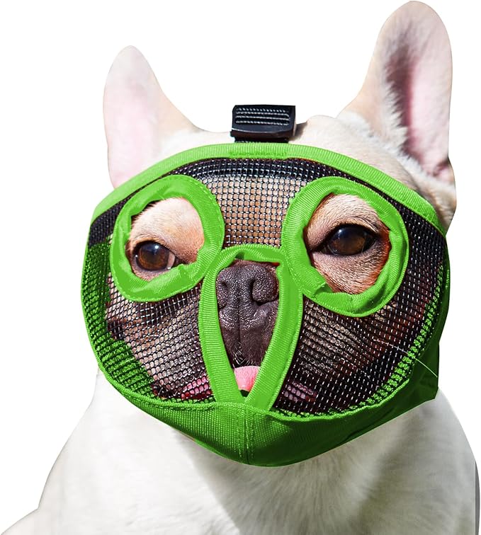 Short Snout Dog Muzzles- Adjustable Breathable Mesh Bulldog Muzzle for Biting Chewing Licking Grooming Dog Mask,Green XL