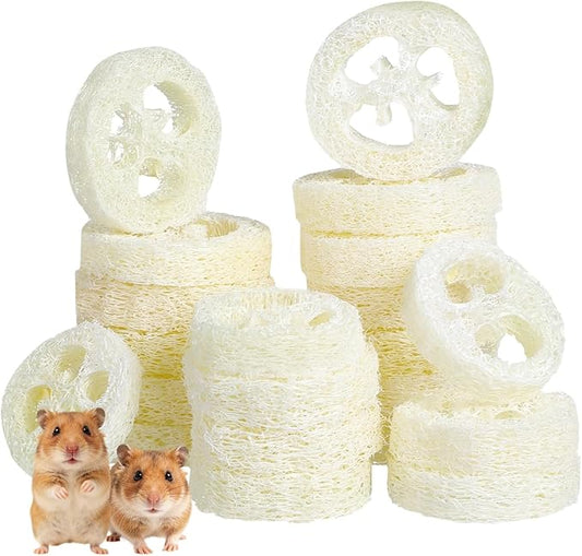 Veemoon 20pcs Hamster Bunny Pet Chewing Toy, Natural Loofah Small Animal Chew Tool Pet Molar Toy for Guinea Pig Chinchilla Hamster Rat Tooth Cleaning and Oral Care Stress Relief Entertainment