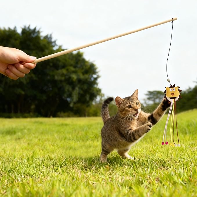 2-Pack Cat Toy Wand Set: Interactive Cat Teaser Wands with Bells and Streamers to Engage Your Cat’s Natural Instincts (Tassels and Sequins)