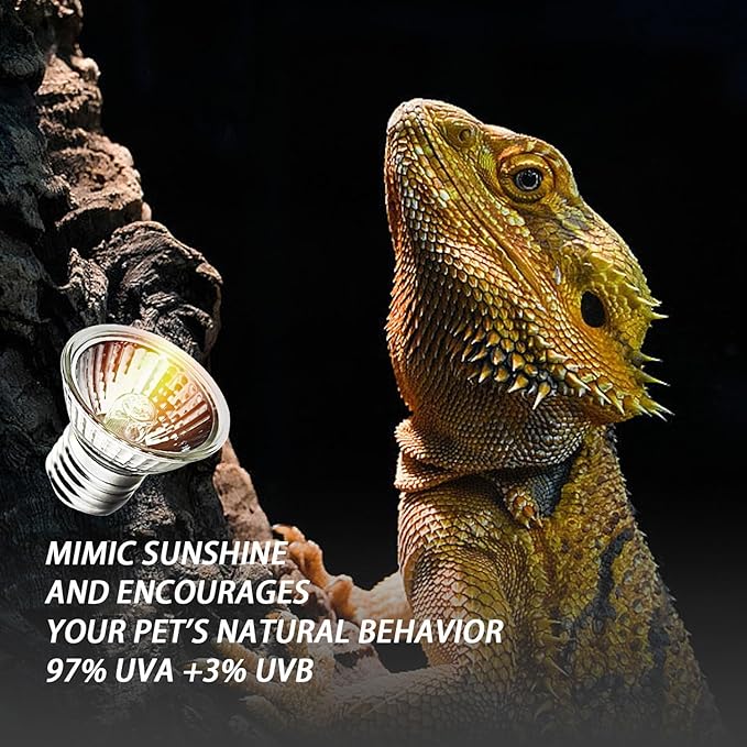 4-Pack 25W UVA Bulbs, Fit E26 Heat Reptile Lamp, Light Turtle Heat Lamp for Reptiles and Amphibian Tanks, Terrariums and Cages, Works with Various Lamp Fixtures,for Lizards, Snakes, Turtles