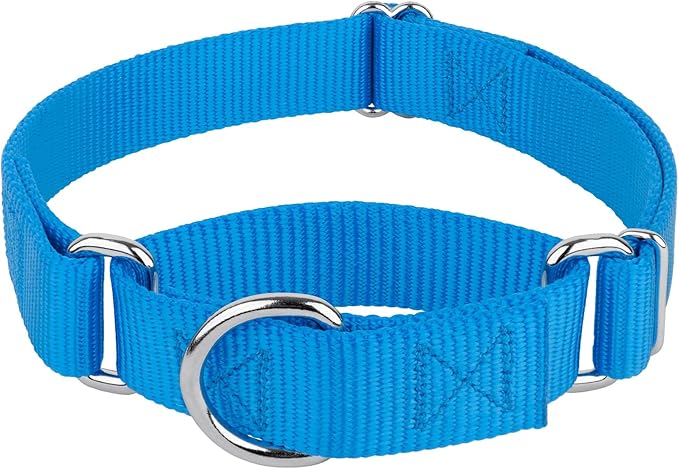 Country Brook Petz - Martingale Dog Collar - Heavy-Duty Training Collar with No Buckle - Service Dog Collar for All Pups - 20 Vibrant Colors (Ice Blue, 3/8 Inch, 3XS)