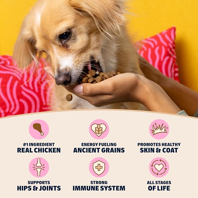 Bark in the Belly Chicken & Ancient Grains Recipe Premium Dog Food – 15 lb Bag (6.8 kg)