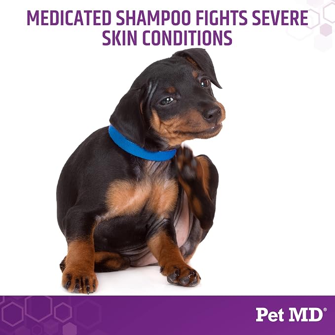 Pet MD Micoseb-CX Topical Shampoo for Dogs, Cats, & Horses - 12oz | with Miconazole