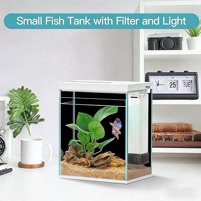 2 Gallon Glass Betta Fish Tank with Heater Filter and Light, Self-Cleaning Small Aquarium Starter Kits