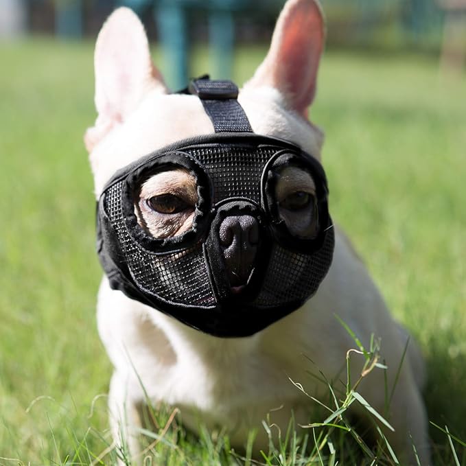 Short Snout Dog Muzzles- Adjustable Breathable Mesh Bulldog Muzzle for Biting Chewing Licking Training Grooming Dog Mask (Black, Small/9"-12")