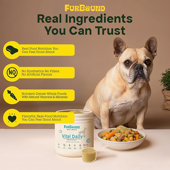 Dog Multivitamin Powder | 9-in-1 Whole Food Dog Vitamins and Dog Supplements that Supports Joint, Digestion, Skin & Coat, Immune, Cognition, Detox, Heart, Antioxidants (Cheesy Beef Flavor)