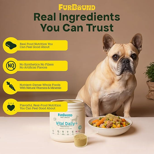 Dog Multivitamin Powder | 9-in-1 Whole Food Dog Vitamins and Dog Supplements that Supports Joint, Digestion, Skin & Coat, Immune, Cognition, Detox, Heart, Antioxidants (Cheesy Beef Flavor)