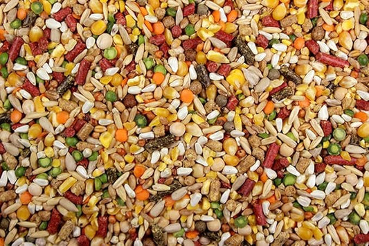 Chicken Feed, Whole Ingredient Chicken Treat, Wied Variety of Grains Poultry Feed (10 Pound (Pack of 1), High-Octain (High Protein) with Cracked Corn)