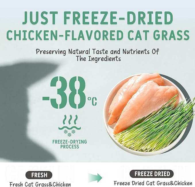 Freeze Dried Cat Grass & Chicken Treats (3.53oz/100g) - Natural Hairball Relief & Digestive Support - Dental Cat Chews for Teeth Cleaning & Fresh Breath - Grain-Free