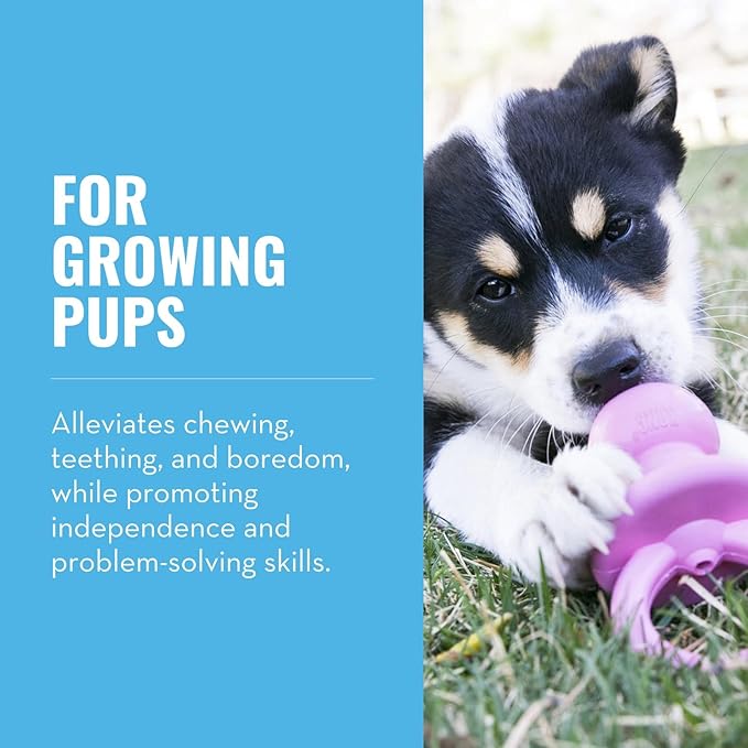 KONG Puppy Binkie - Pacifier Dog Toy for Puppies - Stuffable Treat Chew Toy for Treats - Durable Natural Rubber for Teething Puppy - for Small Puppies - Pink