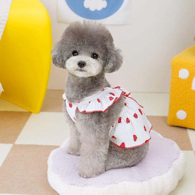 Dog Dresses for Small Dogs Girl Female Clothes Cat Clothes Cat Dress Cute Cotton Extra Summer Clothes Bow Decor Printed Strawberry Dog Birthday Outfit Small Puppy Clothes White M