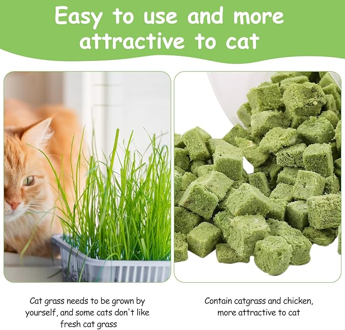 60g Cat Grass Treats for Cats, Freezed Drying Cat Grass Teething Stick Snacks for Kitty, Edible Cats Chew Toys for Teeth Cleaning and Hairball Removal