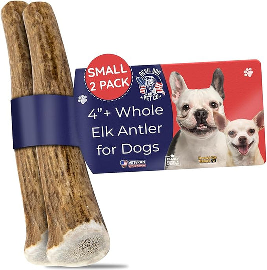 Devil Dog Pet Co. Elk Antlers for Dogs, Natural Dog Chew for Aggressive Chewers - Long Lasting and Odor Free - USA Sourced - Cleaner Teeth, Anxiety & Boredom Relief - Whole Small 4"+ 2 Pack