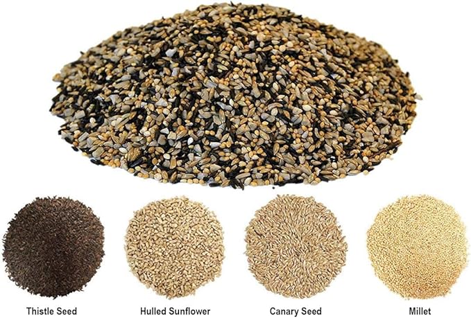 Backyard Seeds Finch & Small Songbird Frenzy 5lbs - Premium Nyjer Thistle Seed Blend for Finch Feeders, Small Bag of Wild Bird Food
