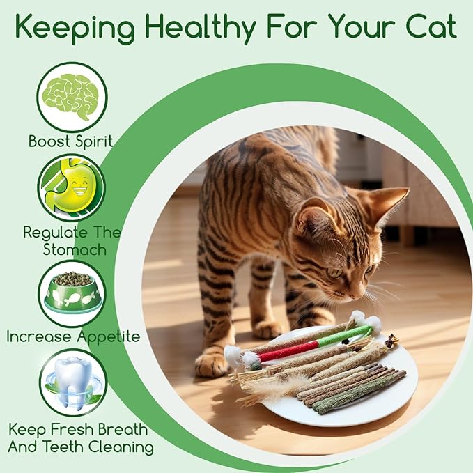 Silvervine Sticks Catnip Rope Toys Set for Cats Teeth Cleaning,Cat Chew Toys,Kitten Dental Care Toys for Indoor Cats to Promote Oral & Dental Health