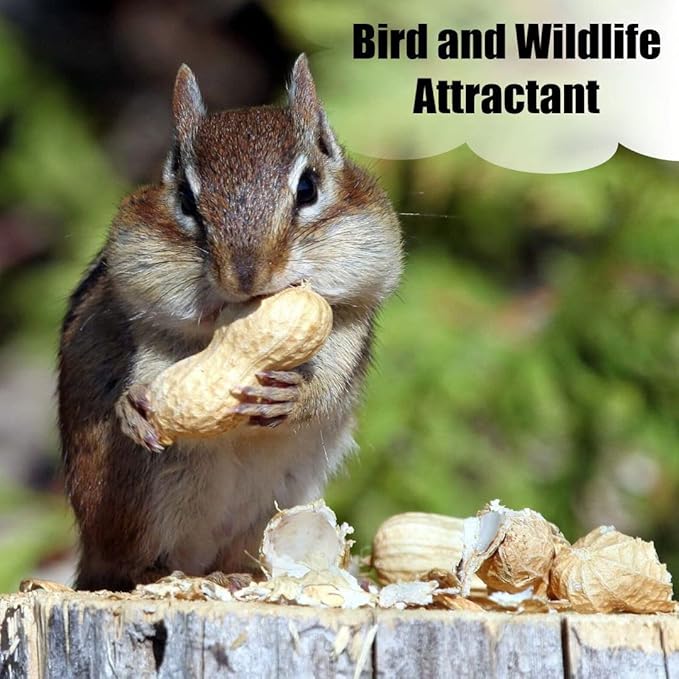 Old Potters in-Shell Peanuts, 25 lbs for Birds, Squirrels, and Wildlife. USA Grown Non-GMO, Small Farm, Raw in-Shell Peanuts. Wildlife Grade, 25 lbs.