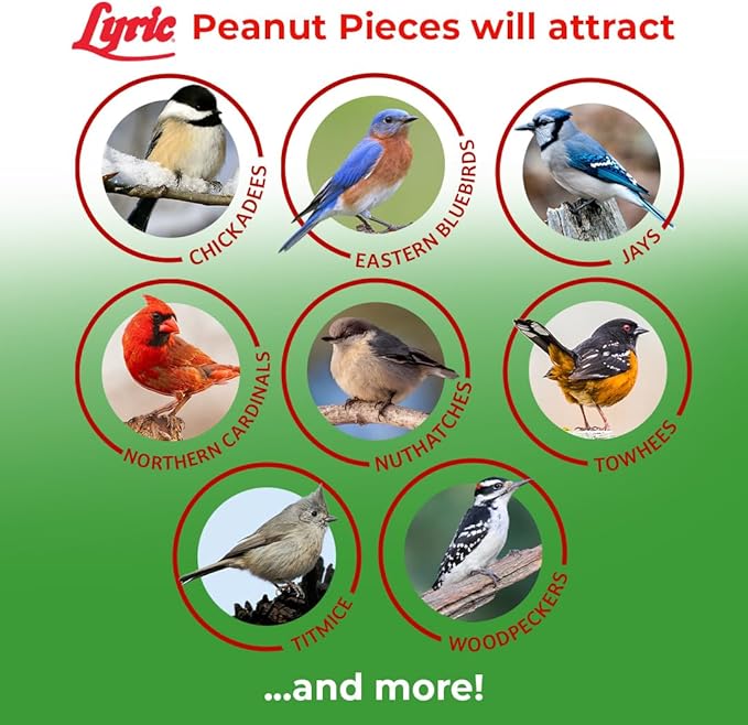 Lyric Sunflower Kernels No Waste Wild Bird Seed 25 lb Peanut Pieces - Shelled Peanuts for Wild Birds 15 lb - Perfect for Your Backyard Feeders