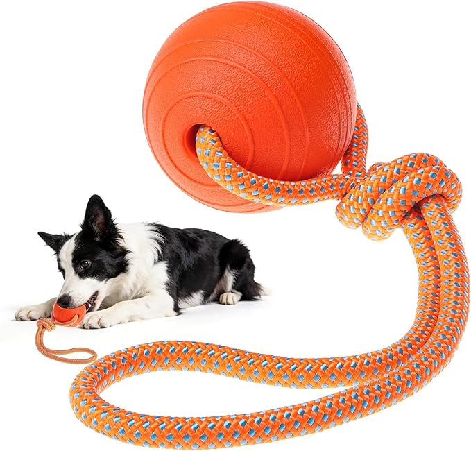 SCENEREAL Floating Dog Pool Toys - Ball on Rope Fetch and Tug-of-War Toy for Medium Large Dogs Outdoor Training, EVA Rubber Water Pet Interactive Toys for Summer Beach, Orange
