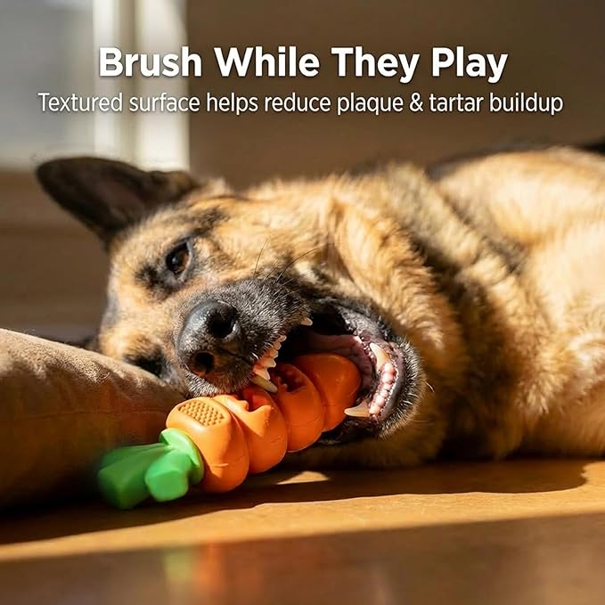 Frienhund Tough Dog Toys for Aggressive Chewers Medium to Large Breed, Indestructible 7" Nylon & Rubber Carrot, Bacon Flavored Dental Chew Toy for Boredom, Easter Basket Stuffers for Dogs (20-70 lbs)