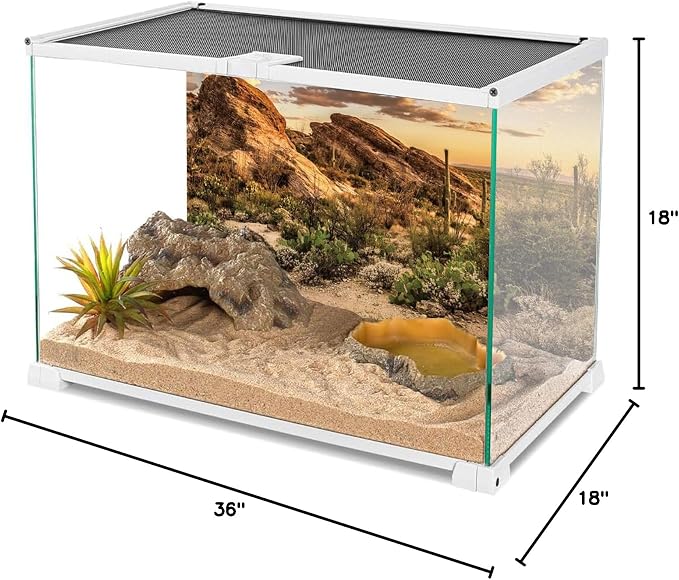 AWERT Reptile Habitat Background Blue Sky Oasis Cactus Sun and Desert Terrarium Background 36x18 inches Durable Polyester Background
