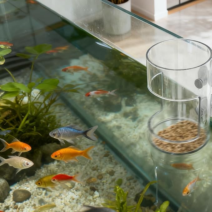 No Mess Aquarium Feeder, Acrylic Clear Fish Tank Feeder with Suction Cup, Preventing Food Scattering Feeding Tray Hollow Floating Sinking Shrimp Food Holders (Round,1)
