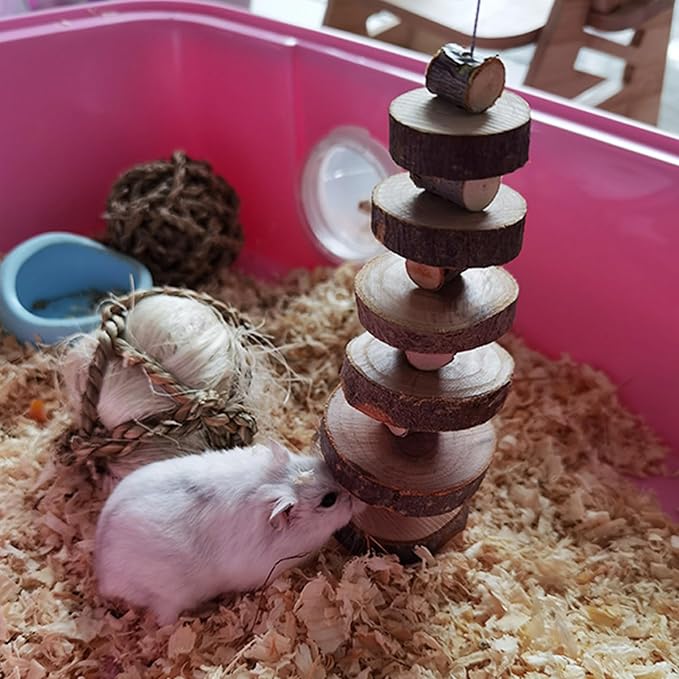 LWINGFLYER 6pcs Small Animal Chews Toy Natural Apple Wood Block Cage Hanging Molars Treats Snack for Hamsters Rabbits Bunny Bird Parrots Chinchilla Guinea Pig Gerbils Squirrels