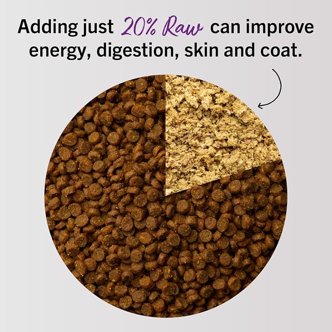 Stella & Chewy's Freeze-Dried Raw Cat Dinner Morsels - Premium Salmon & Cod Recipe with 98% Wild-Caught Fish & Organs - Natural Grain-Free Cat & Kitten Food - Made in USA - 18 oz