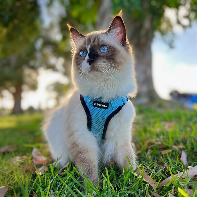 rabbitgoo Cat Harness and Leash for Walking, Escape Proof Soft Adjustable Vest Harnesses for Cats, Easy Control Breathable Reflective Strips Jacket, Light Blue, XXS