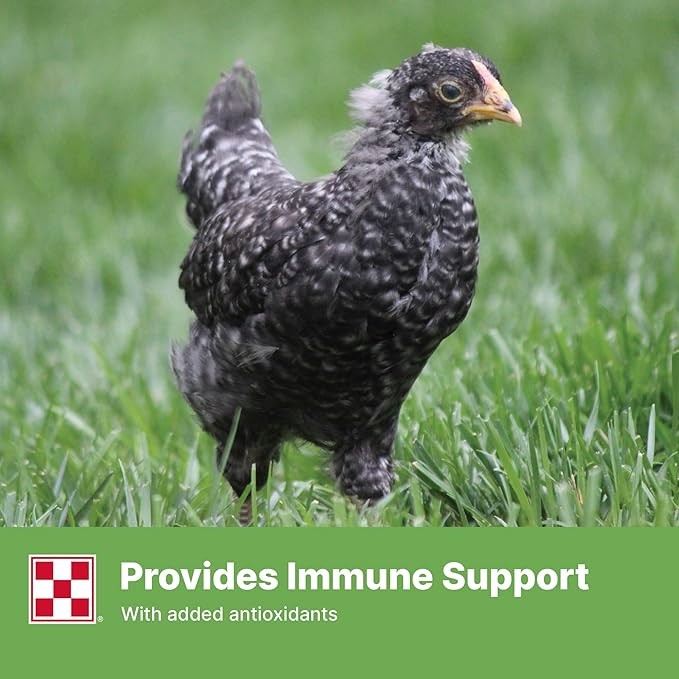 Purina® Farm to Flock™ 18% Grower Chick Food, 25 Pound Bag