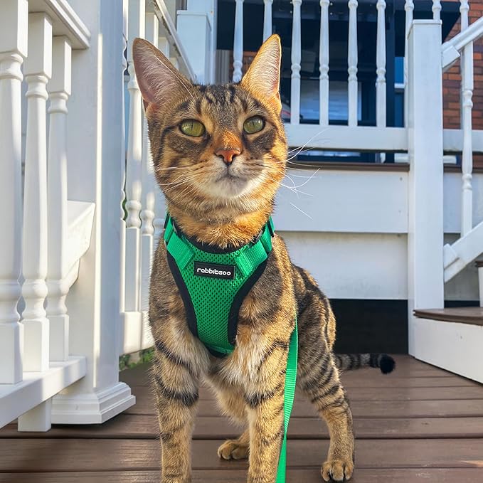 rabbitgoo Cat Harness and Leash for Walking, Escape Proof Soft Adjustable Vest Harnesses for Cats, Easy Control Breathable Reflective Strips Jacket, Grass Green, XXS