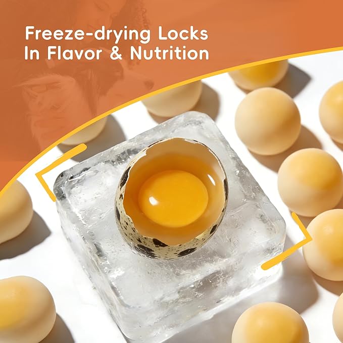 Freeze Dried Quail Egg Yolk, Freeze Dried Cats & Dogs Treats, Premium Quality High Protein Training Treats, Naturally Single Ingredient, Grain Free, Gluten Free, Filler Free, Net Wt. 8 oz