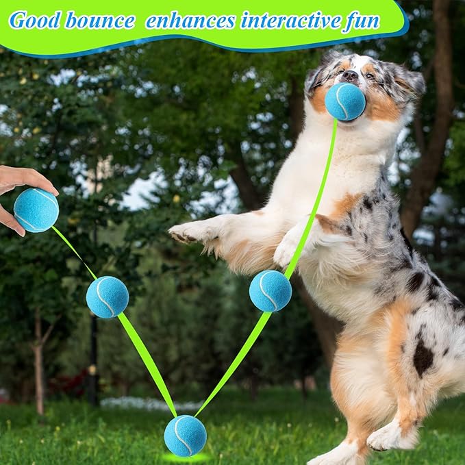 Skylety 40 Pcs 2.5 Inch Squeaky Tennis Balls Bulk for Dogs Bouncy Floatable Tennis Balls Dog Playing Supplies Training Interactive Fetch Toys Indoor and Outdoor for Small Medium Puppy (Multicolor)